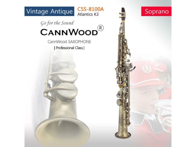 CannWood Saxophone_ _ Professional Class _ CSS_8100A_
